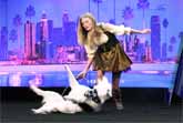 Hero The Super Collie And Sara Carson - America�s Got Talent 2017